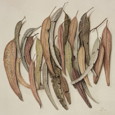 Folhas de Eucalipto, 2004 (wc no papel) de Jenny Barron