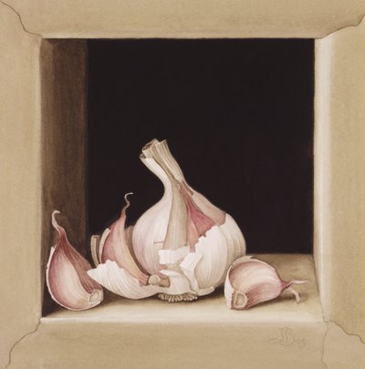 Alho, 2005 (wc no papel) de Jenny Barron