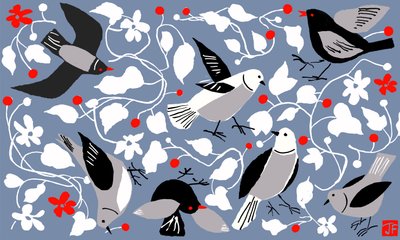 Birdy de Jenny Frean