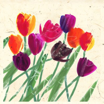 BELEZAS DA HOLANDA de Jenny Frean