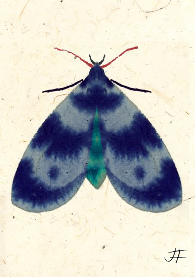 Indigo Moth, 2024 (aguarela sobre papel) de Jenny Frean