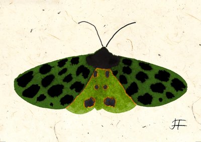 Tiger Moth, 2024 (aguarela sobre papel) de Jenny Frean