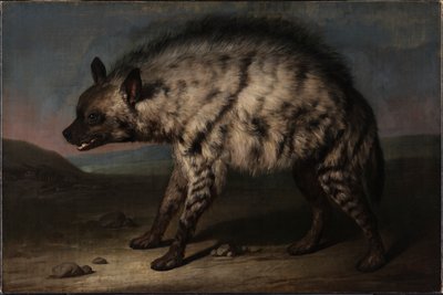 A hiena no zoológico no Castelo de Frederiksberg de Jens Juel