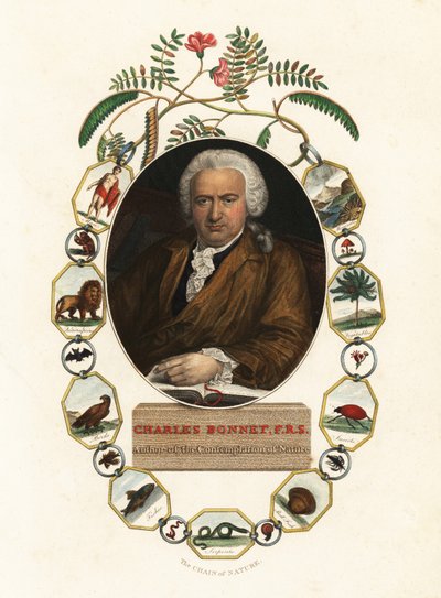 Retrato de Charles Bonnet, naturalista de Genevan.1803 (gravura) de Jens Juel