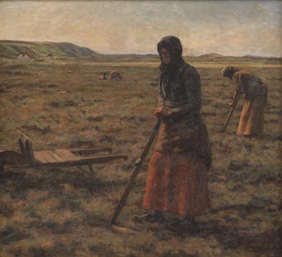 Mulheres cortam urze de Jens Vige