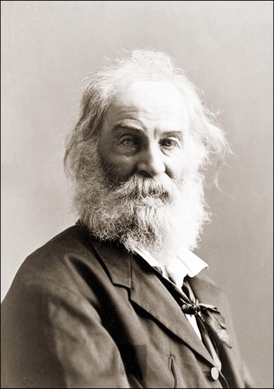 Retrato de Walt Whitman (1819 - 1892) por Gurney entre 1880 e 1890. de Jeremiah Gurney