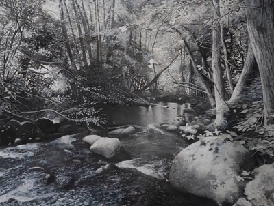 Paisagens fluviais, 2024 (óleo sobre tela) de Jerome Glomaud