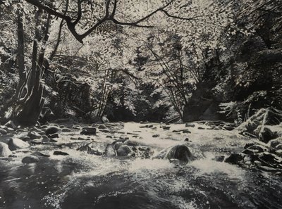 Paisagens fluviais, 2024 (óleo sobre tela) de Jerome Glomaud