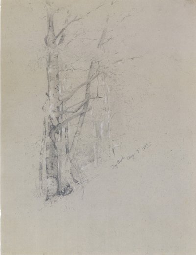 Rio Seco, 1888. de Jervis McEntee