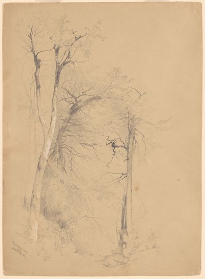 Cravo Kaaterskill de Jervis McEntee