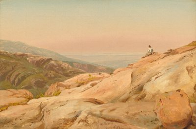 Mount Desert Island, Maine de Jervis McEntee