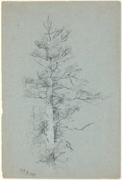 Estudo da Árvore de Jervis McEntee