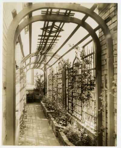 Jardim traseiro da Sra. Regina Jais, c.1936-37 (foto gelatina prateada) de Jessie Tarbox Beals