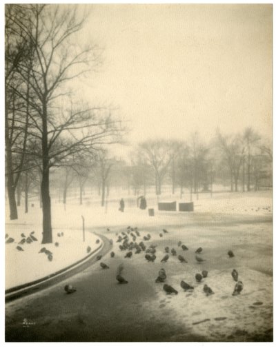 Boston Common, Boston, EUA, c.1902-10 de Jessie Tarbox Beals