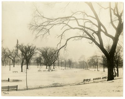 The Common, Boston, EUA, c.1902-10 (foto em prata gelatina) de Jessie Tarbox Beals