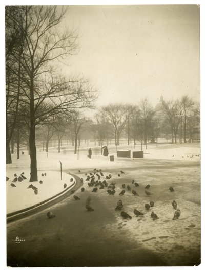 Frio incomum no Common, Boston, EUA, c.1902-10 (foto gelatina prateada) de Jessie Tarbox Beals