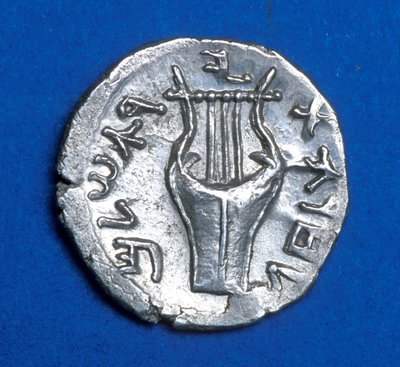 Moeda da Bar Kochba Revolt, 134-135 (metal) de Jewish School