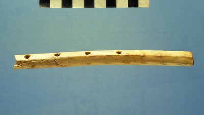 Flauta, cidade de Davi, c.799-600 aC (osso) de Jewish School