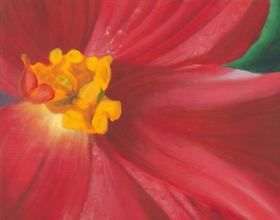 Flor vermelha vibrante de Jillian Claire