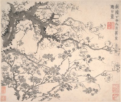 Plum Blossoms, datado de 1757. de Jin Nong