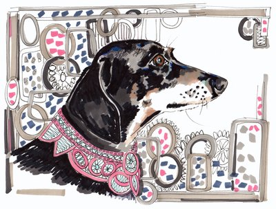 Lacey The Dachshund, 2013, (caneta, tinta sobre papel) de Jo Chambers