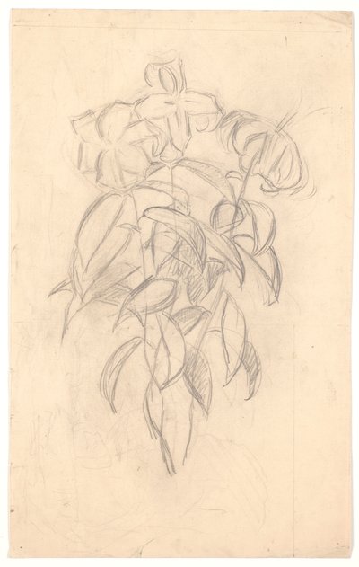 Estudo de flores de Joakim Frederik Skovgaard