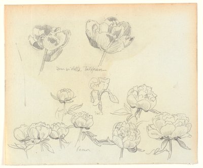 Estudos de flores de Joakim Frederik Skovgaard