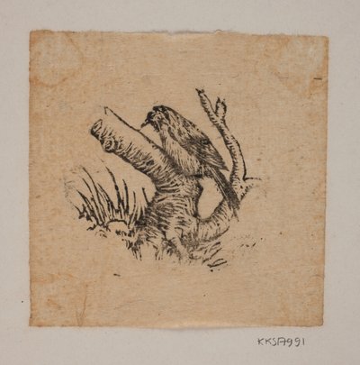 Um pica-pau de Joakim Frederik Skovgaard