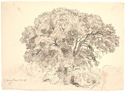 Estudo das árvores. Jardim de Classen de Joakim Frederik Skovgaard