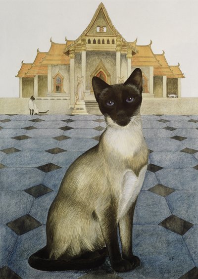 Siamês de Joan Freestone