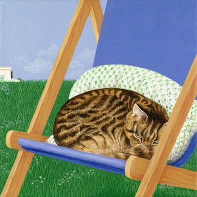 Gato malhado dormindo em uma espreguiçadeira de Joan Freestone