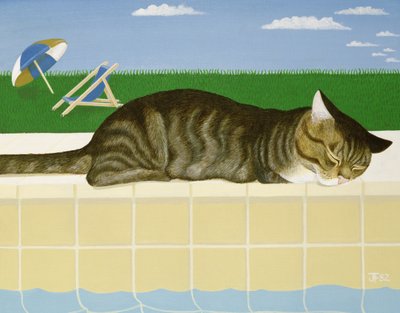Gato malhado por uma piscina de Joan Freestone