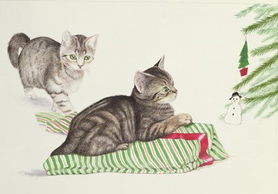 Dois gatinhos de Joan Freestone