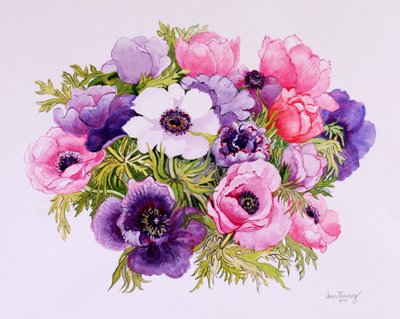 Anêmonas, 2001, aguarela sobre papel artesanal de Joan Thewsey