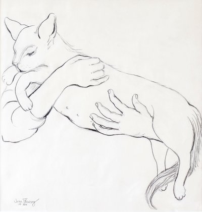Gato fofinho, 2000, (lápis) de Joan Thewsey