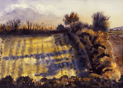 Campo com Long Shadows, 1990, aquarela sobre papel artesanal de Joan Thewsey
