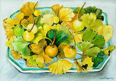 Ginkgo, frutas e folhas, 2010, aquarela de Joan Thewsey