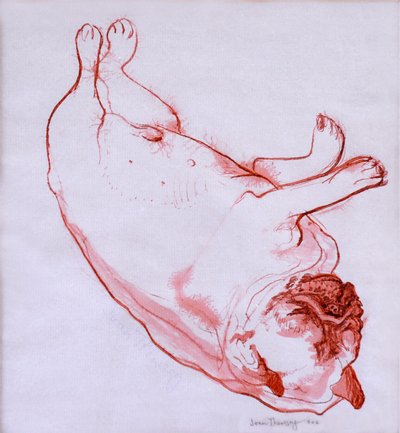 Hogarth Sleeping, 2005, (tinta no papel molhado) de Joan Thewsey
