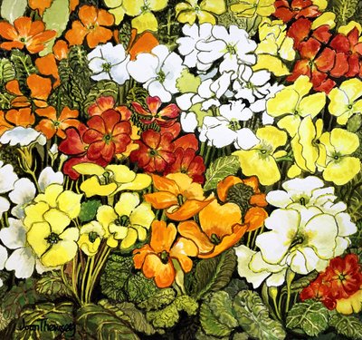 Primrose Borda, branco, amarelo, laranja e vermelho primroses (aquarela) de Joan Thewsey
