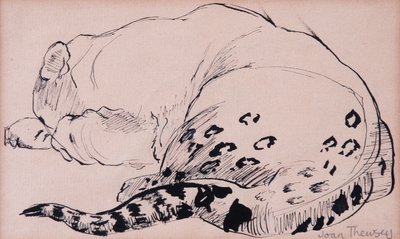 Esboço, leopardo, zoológico de Londres 2005, (caneta e tinta) de Joan Thewsey