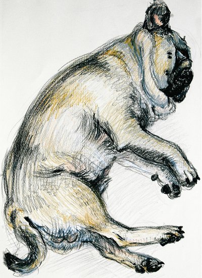 Sleeping Pug One, 2000, (pastel de óleo) de Joan Thewsey