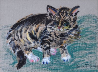 Gato malhado, 2005 (pastel) de Joan Thewsey