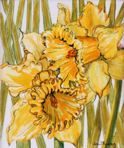 Two Daffodils, 2001, water coloured on hand made paper de Joan Thewsey