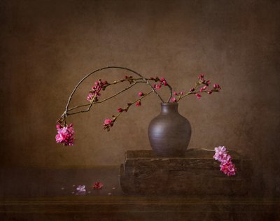  de Joanna W