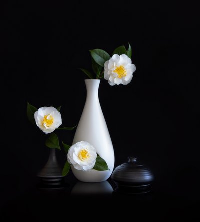  de Joanna W
