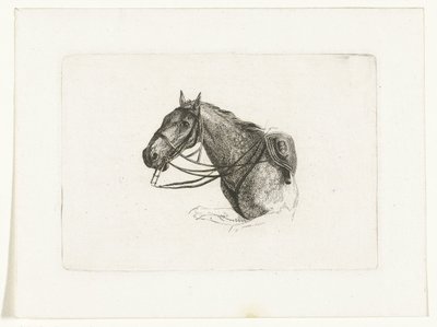 Cabeça de cavalo para a esquerda
Cabeças de cavalo para Dirk Langendijk (título da série) de Joannes Bemme