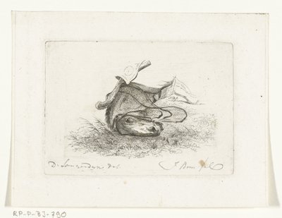 Cabeça de cavalo reclinável
Cabeças de cavalo depois de Dirk Langendijk (título da série) de Joannes Bemme