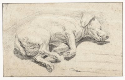 Cão deitado, dormindo de Joannes Fijt (attributed to)