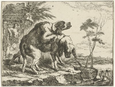 Dois cães de acasalamento Cães (título da série) de Joannes Fijt