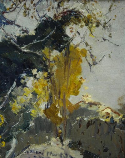 Árvore de Joaquim Mir i Trinxet